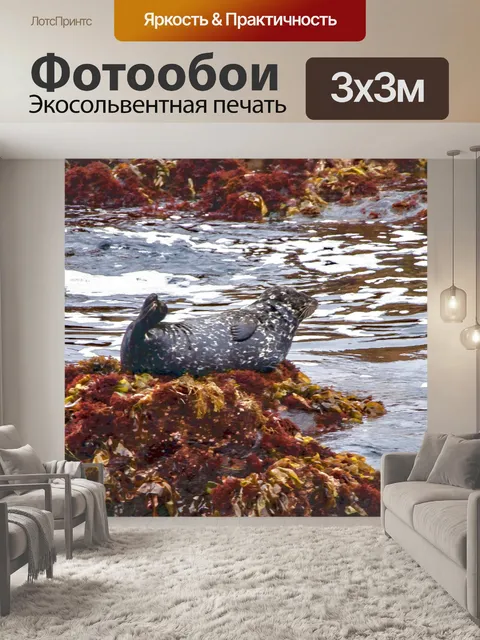 Фотообои Печать на скале