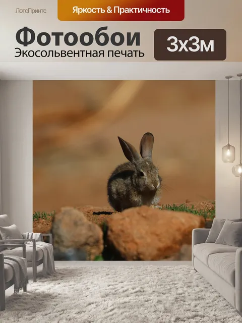 Фотообои Кролик