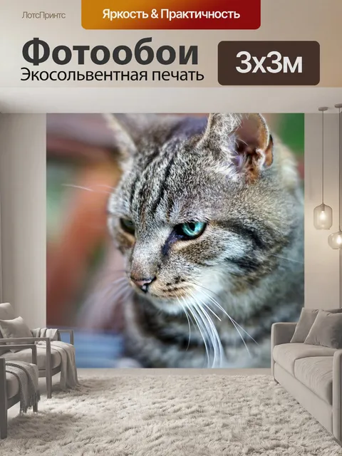 Фотообои Кошка