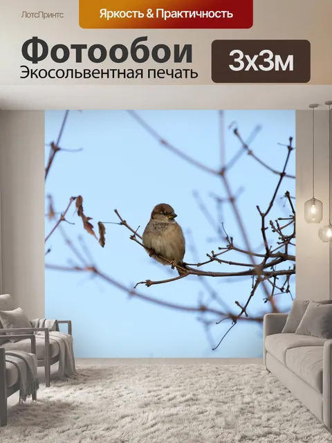 Фотообои Воробей в дереве