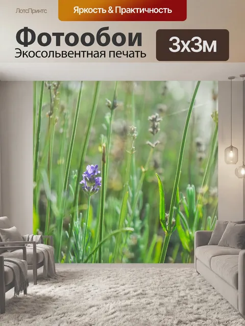 Фотообои Лаванда