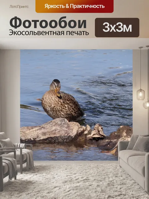 Фотообои Птицы