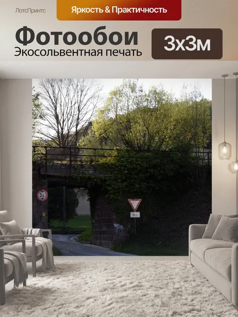 Фотообои Мост под руководством