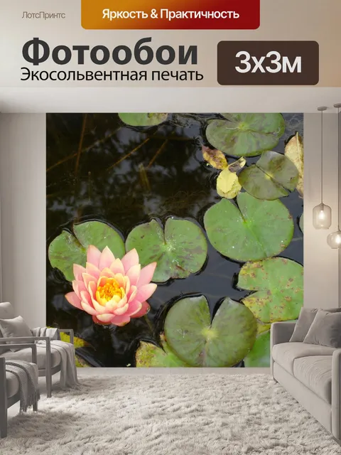 Фотообои Цветок