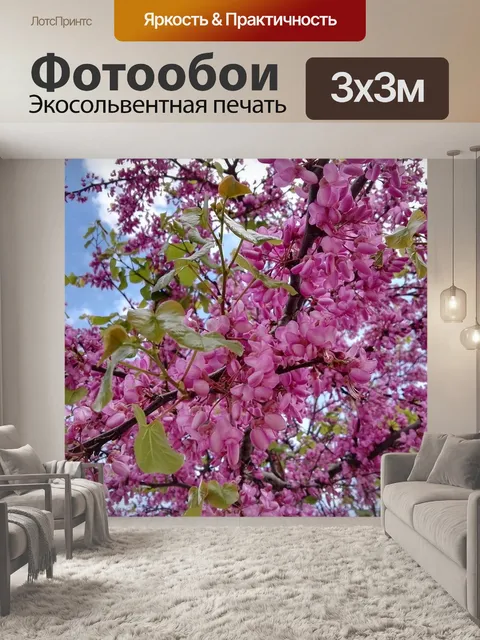 Фотообои Деревья