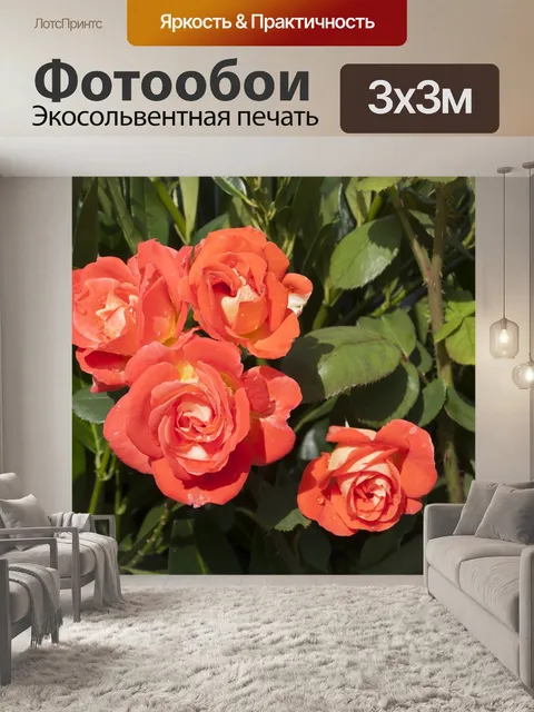 Фотообои Розы
