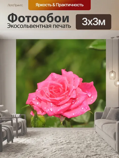 Фотообои Роза