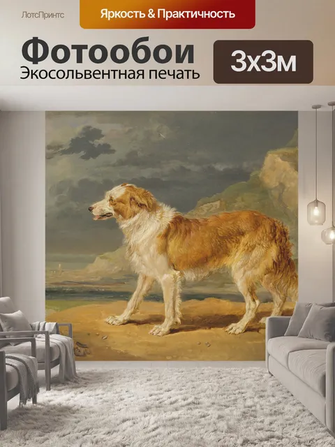 Фотообои Колли Дог Винтажная Живопись