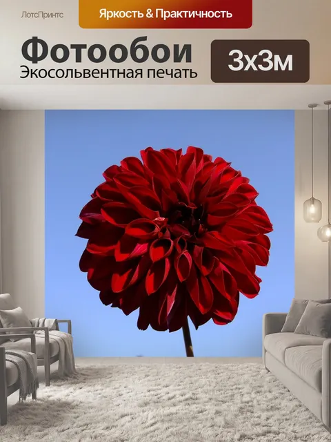 Фотообои Цветы