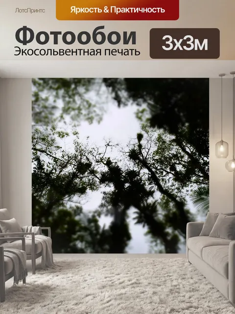 Фотообои Лес