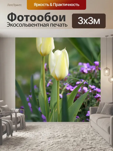 Фотообои Тюльпаны