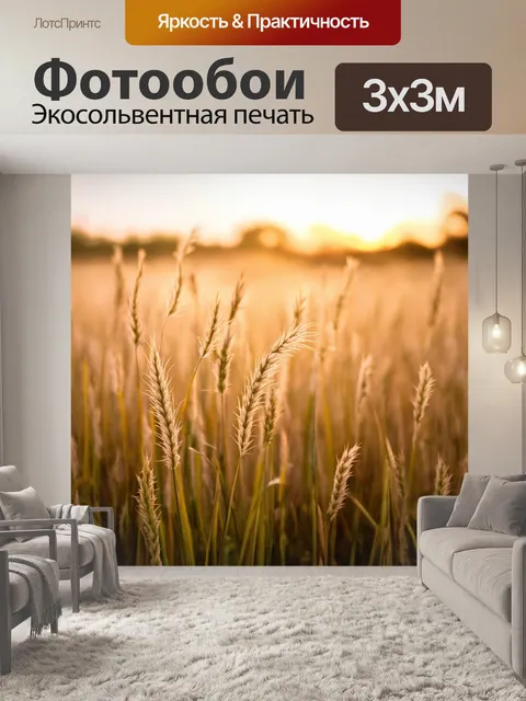 Фотообои поле полевых трав на закате