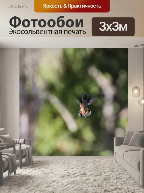 Фотообои Каштановый Колибри в полете