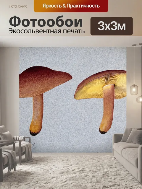 Фотообои Винтажная иллюстрация чемпиона грибов