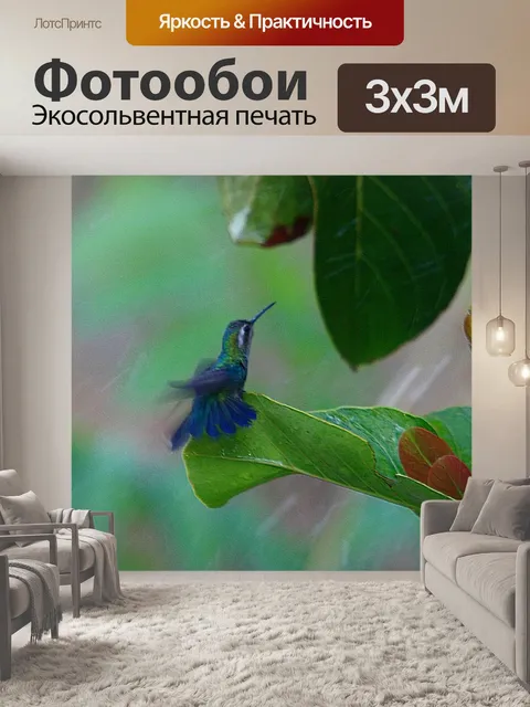 Фотообои Колибри