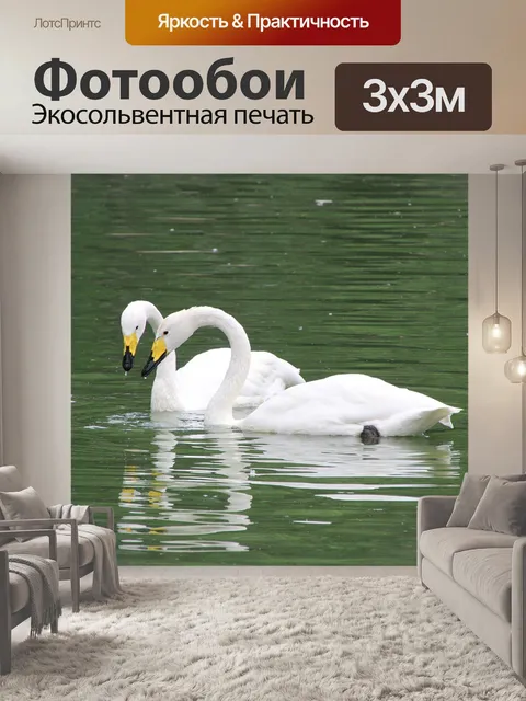Фотообои Лебеди