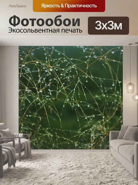 Фотообои Роза