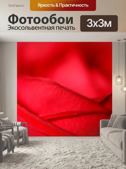 Фотообои красные лепестки роз
