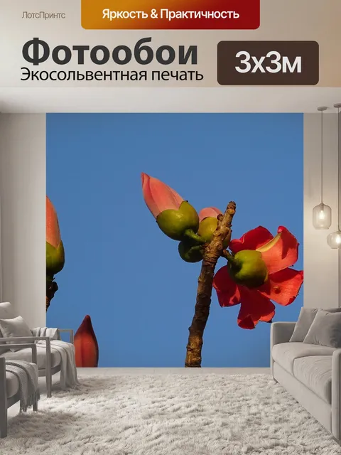 Фотообои Цветок