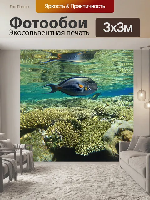 Фотообои Рыбы