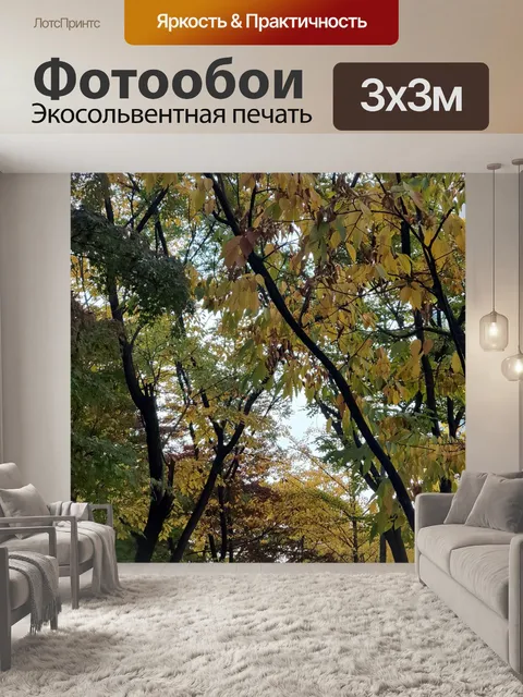 Фотообои Падение