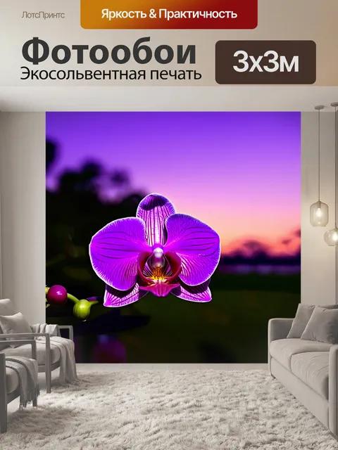 Фотообои орхидея, цветущая на фоне пурпурного заката, создающая романтическую атмосферу