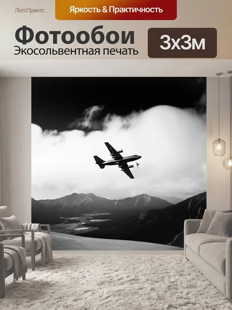 Фотообои чёрно-белая фотография самолета