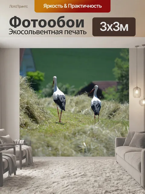 Фотообои Птицы