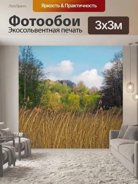 Фотообои Лес