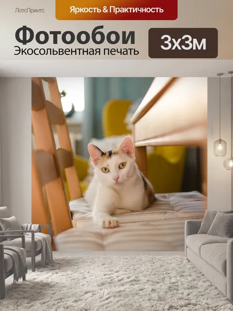 Фотообои Кошка