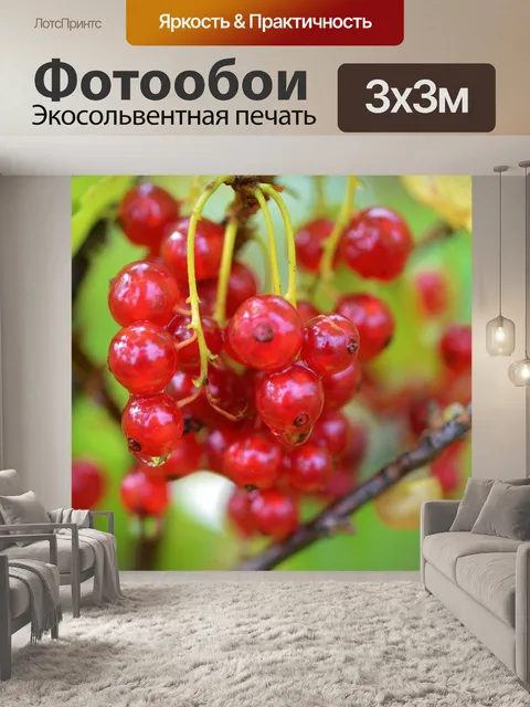 Фотообои Ягода