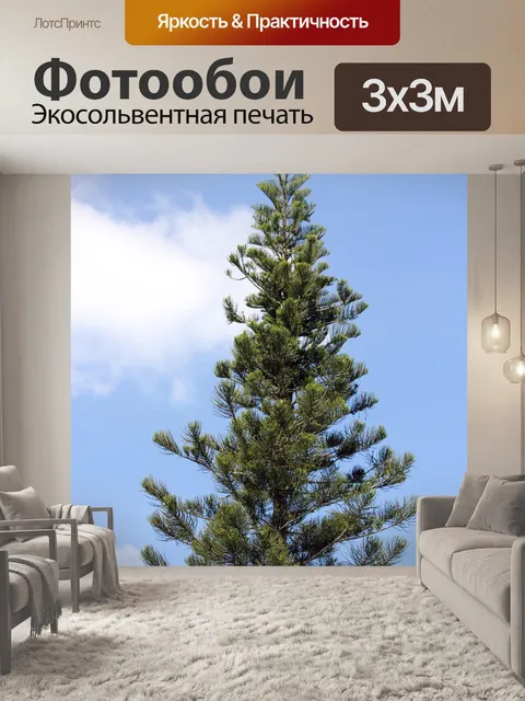 Фотообои сосна