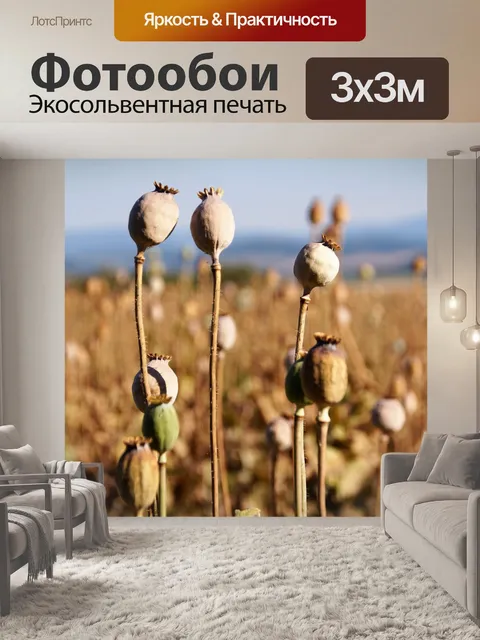 Фотообои Маки