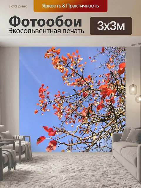 Фотообои Последний