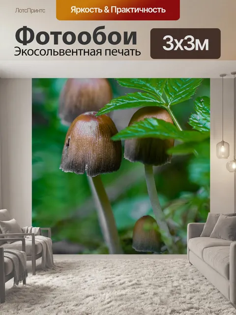 Фотообои Лес
