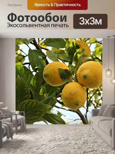 Фотообои Лимоны
