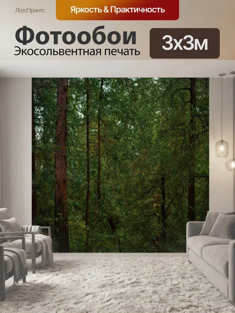 Фотообои лес с разнообразием форм и размеров деревьев, создающих интересную композицию