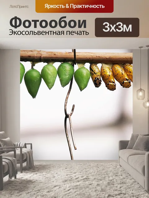 Фотообои Бабочка куклы