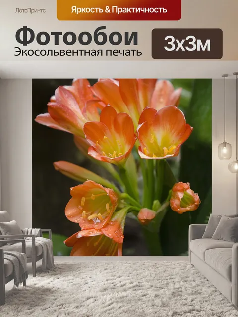 Фотообои Цветы