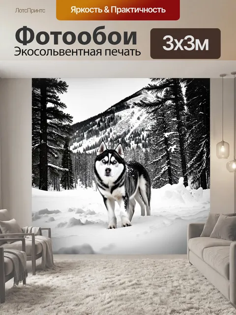 Фотообои вихрь снега, поднятый гонящимися хаски, окружённый величественными деревьями и заснеженными пиками гор