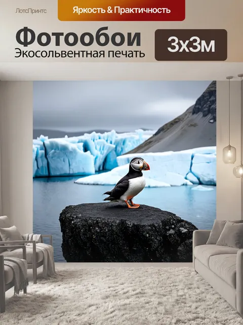 Фотообои одиночный тупик, сидящий на птичьем утёсе, с видом на серо-синие льды и ледяные горы исландии