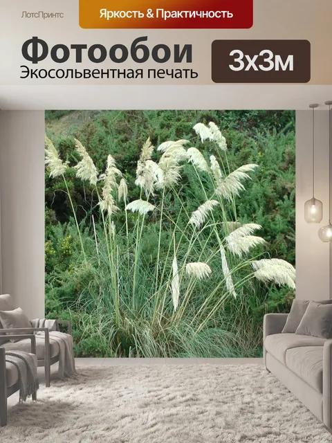 Фотообои Высокий пампа травы