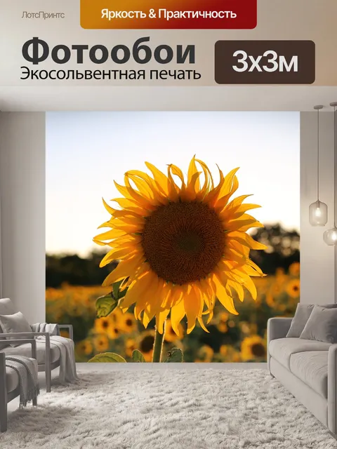 Фотообои Подсолнечник
