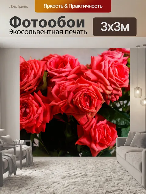 Фотообои Розы
