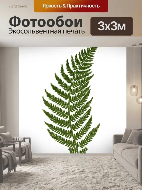 Фотообои Иллюстрация листьев папоротника