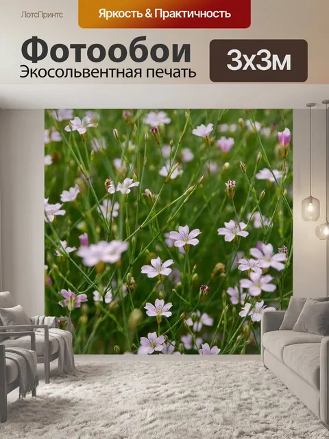 Фотообои Цветы