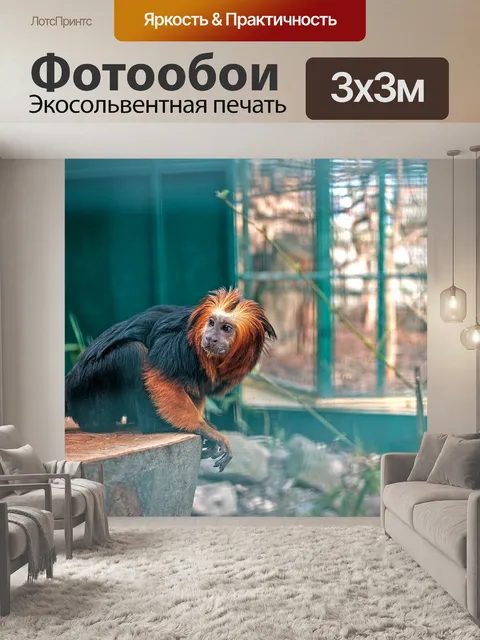 Фотообои Животное