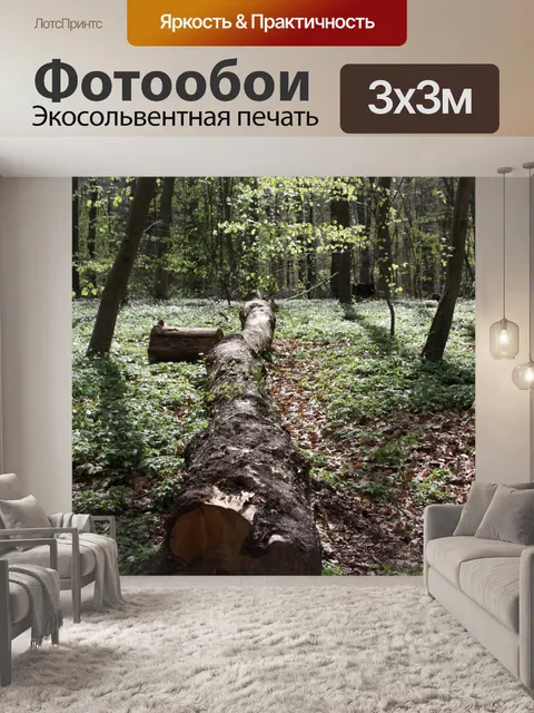 Фотообои Лежа дерево