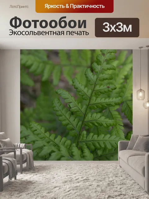 Фотообои Папоротник