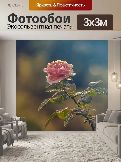 Фотообои Роза